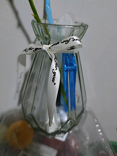这种透明的花瓶也太便宜了吧！