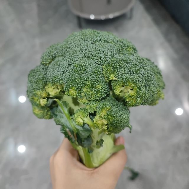 普外科曾医生看多了，看什么都像菜花。