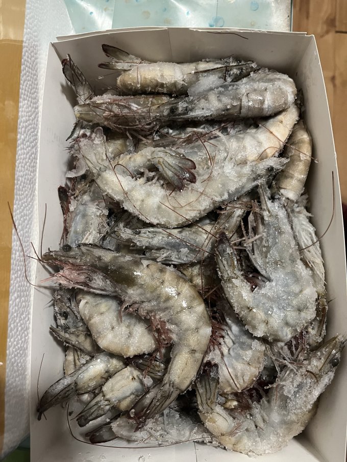 美苹虾类