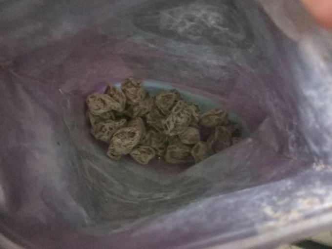 荔园蜜饯果脯