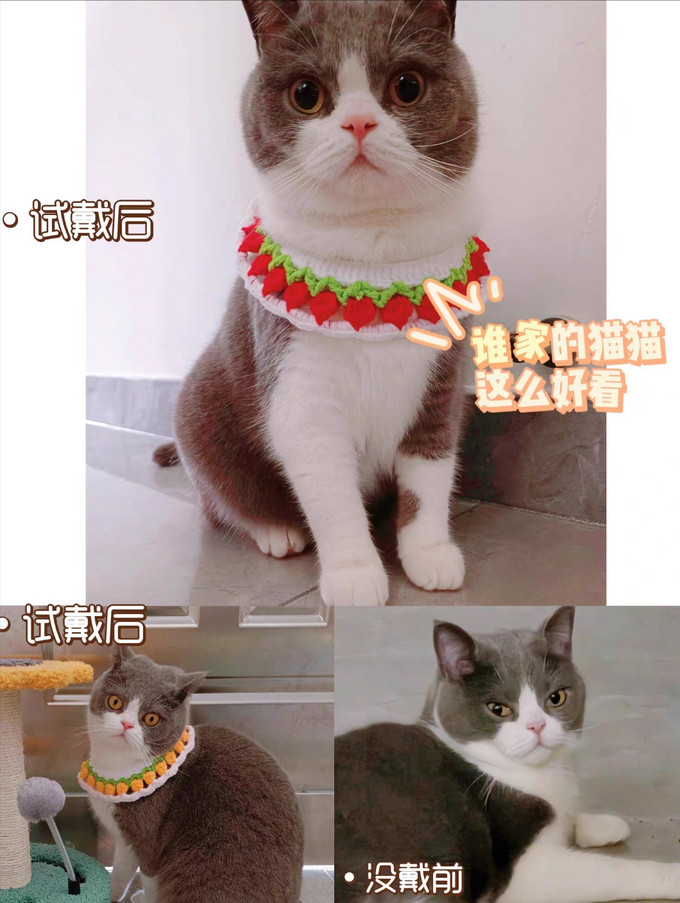 华元宠具猫咪服饰