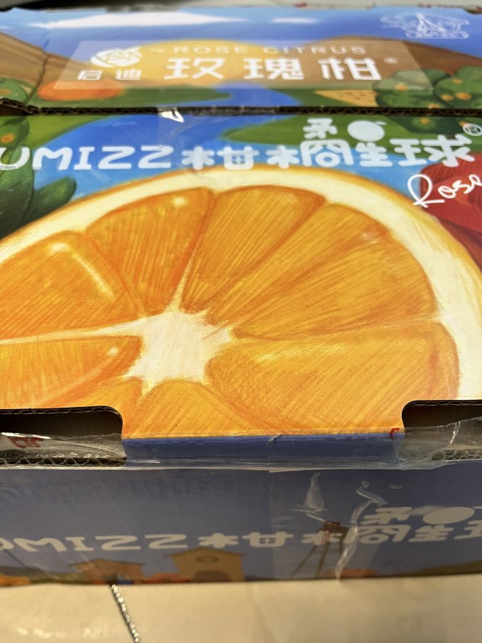 启迪橘/桔