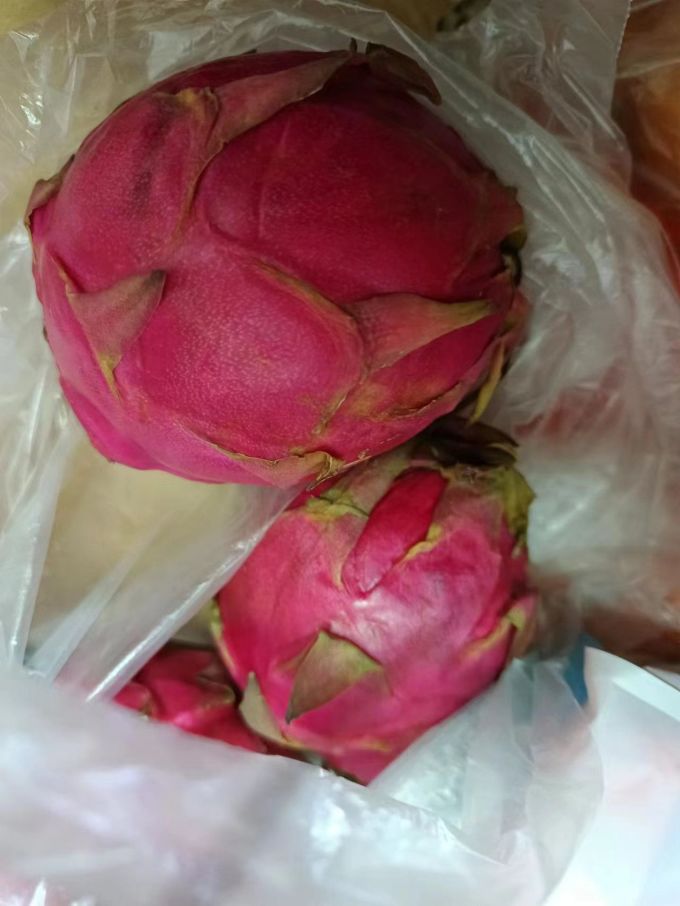 纯香果火龙果