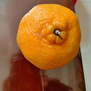超级甜的橘子超级好吃！！