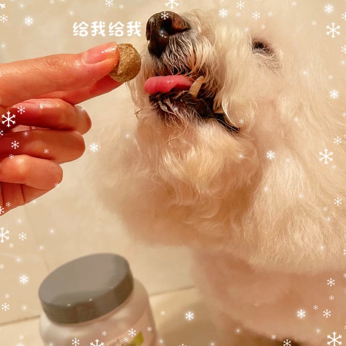 麦德氏宠物骨骼补钙