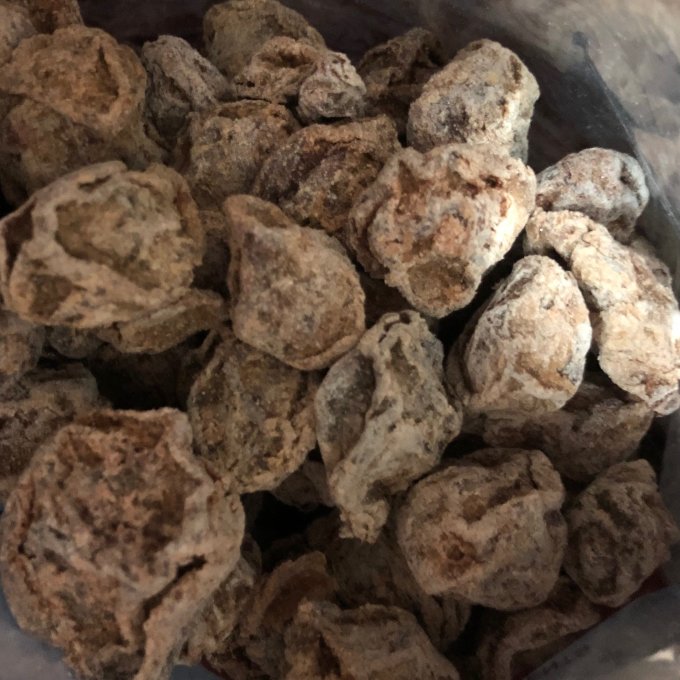 荔园蜜饯果脯