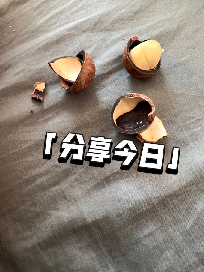 粒上皇坚果炒货
