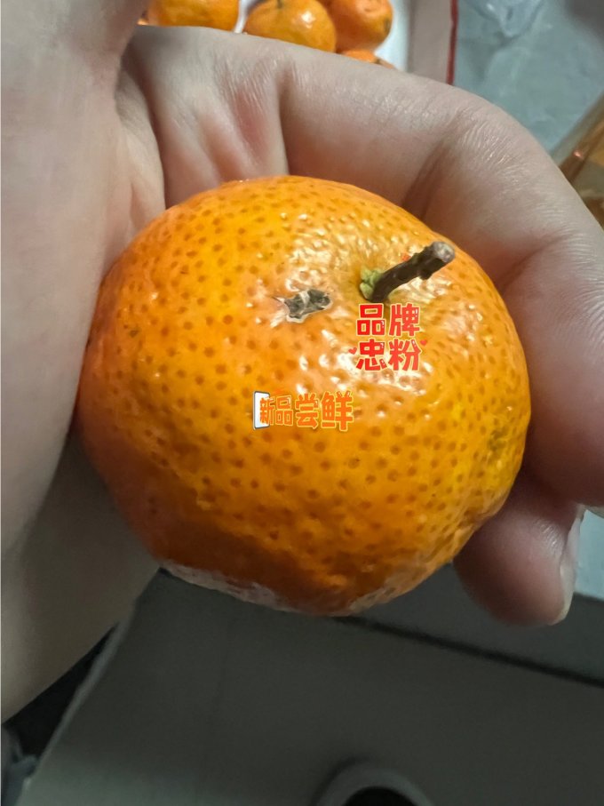 什谷丰橘/桔