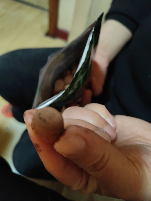 好吃的巧克力棉花糖豆