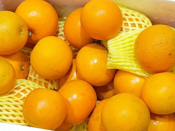过年必备的就是橘子🍊呀～