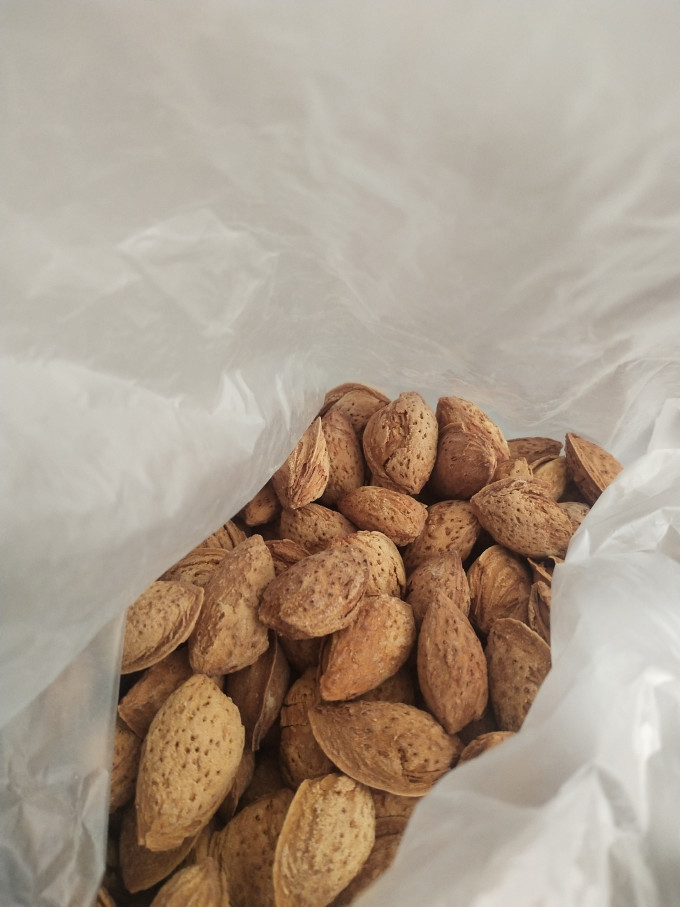 熙贝巴旦木