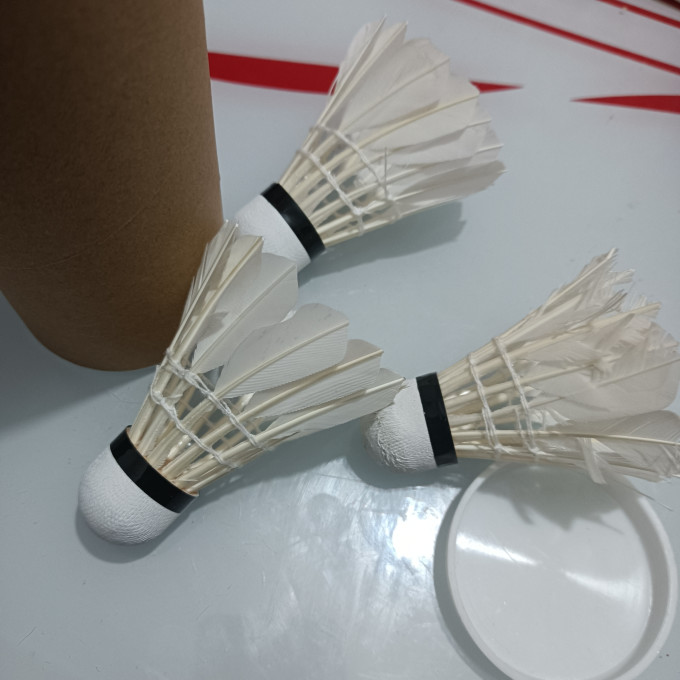 羽毛球