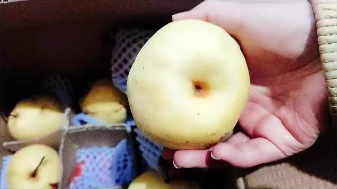 其他水果