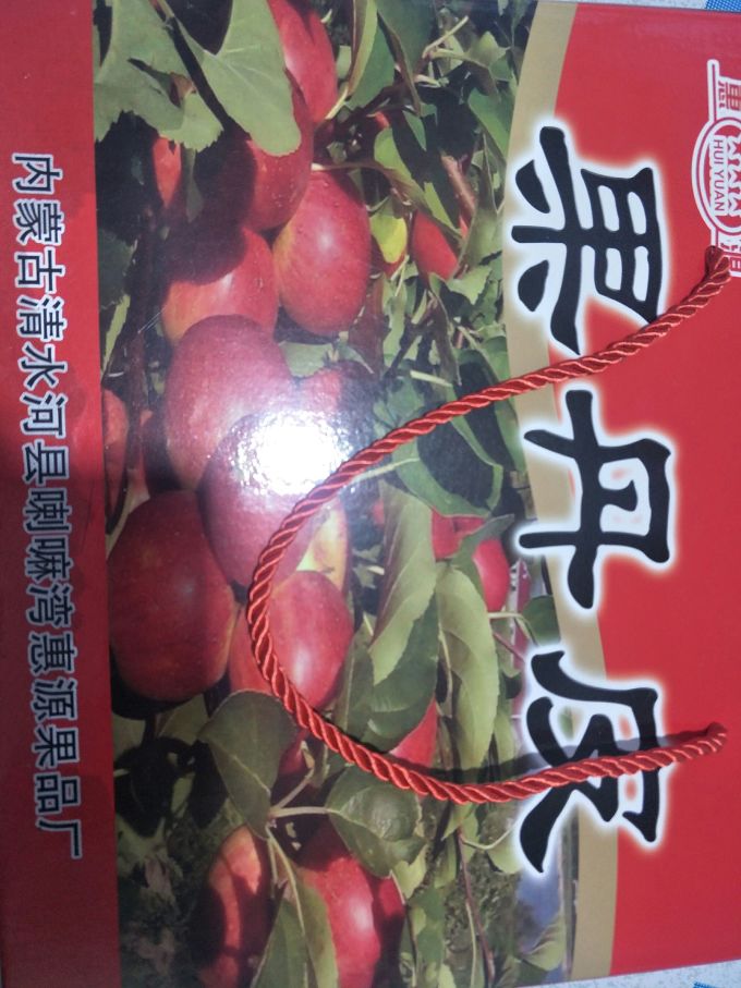 蜜饯果脯