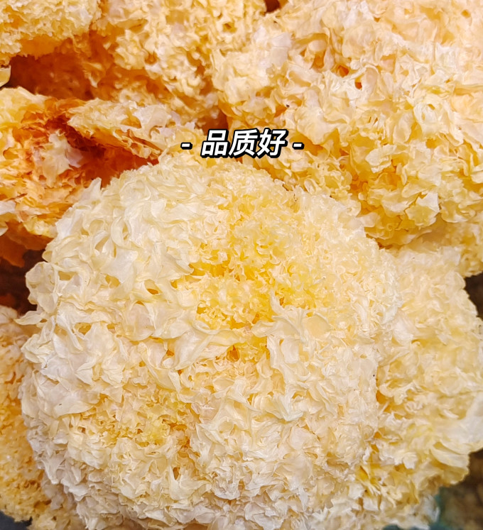 邹有才南北干货