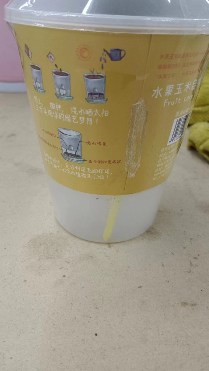 盆栽