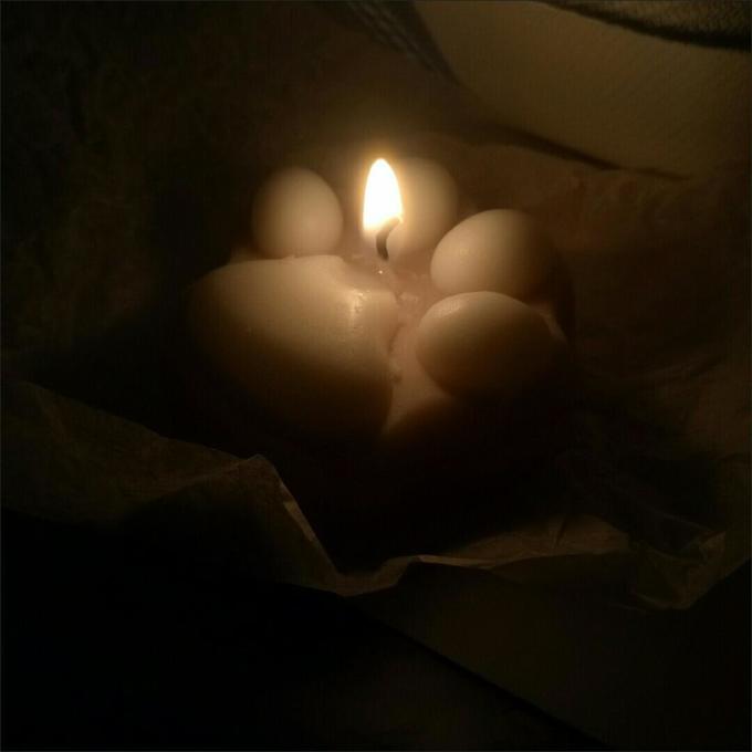 五朵里香薰烛