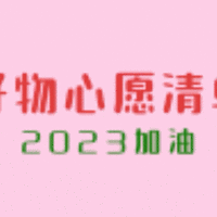 2022年的购物清单未完成。希望2023年能够达成，加油！