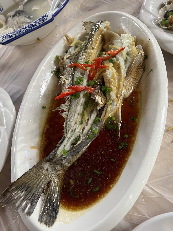 海鲜颂鱼类