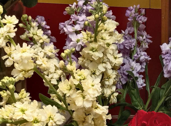 一网情深鲜花