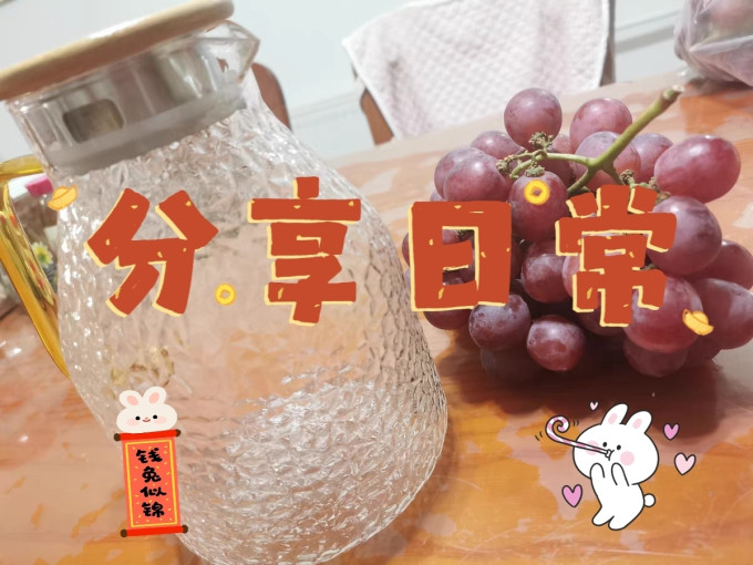 迪迪仕水具酒具
