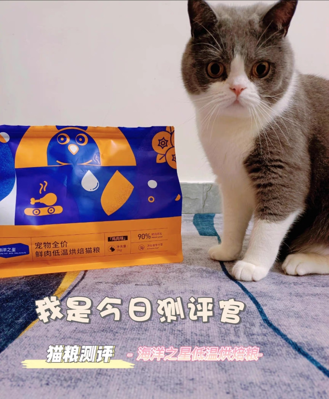 海洋之星猫粮