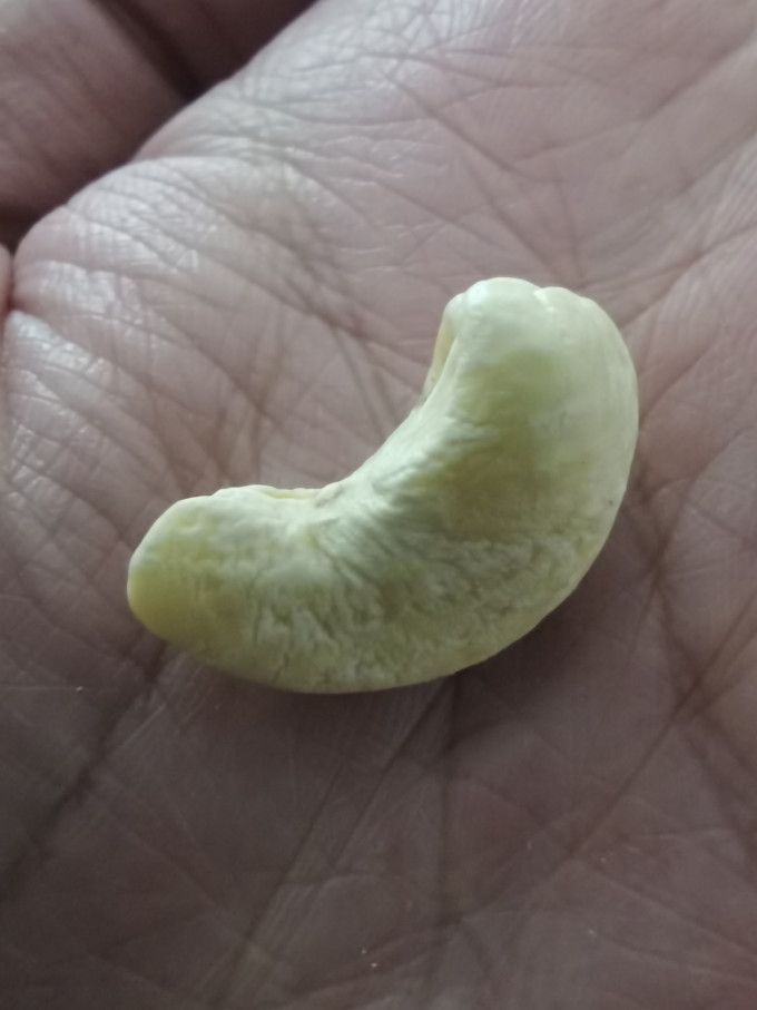 老街口腰果