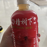 解油腻的山楂树下果汁