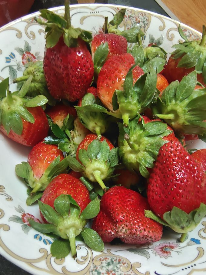 牛小花草莓