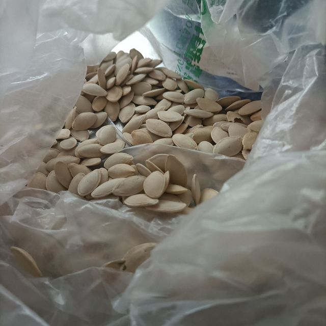 颗粒饱满的南瓜子