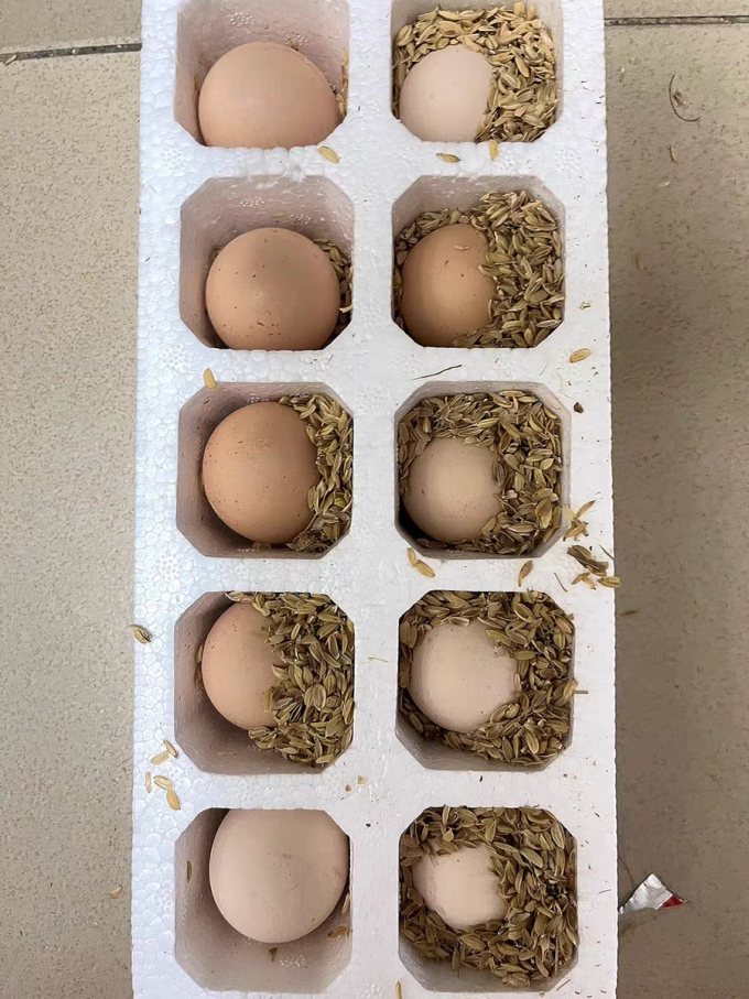 三客游蛋类