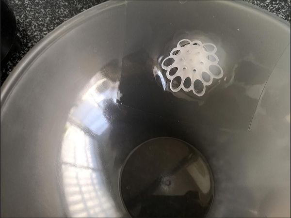 吃葡萄的时候葡萄再也不会顺着水流滚落下去