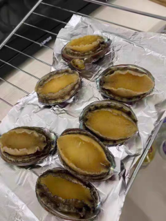新鲜鲍鱼鲜活超大海鲜水产生鲜活特大加热即