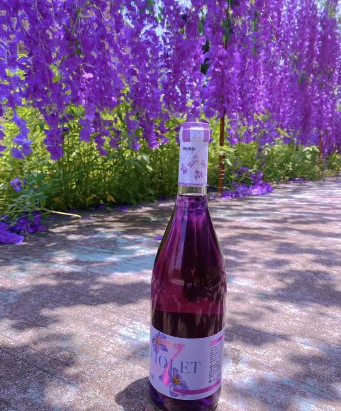 酒质细腻的"浪漫紫"葡萄酒,好喝喜欢_什么值得买