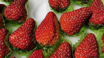 今年的丹东草莓怎么黑不溜瞅的？