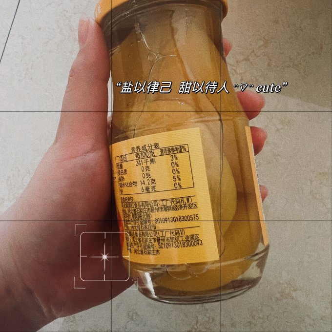 家家红水果罐头