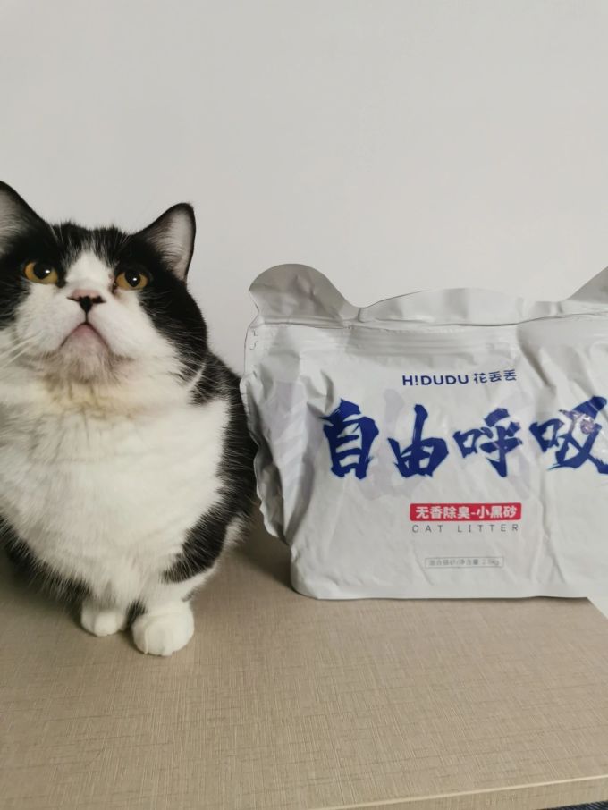 花丢丢猫砂