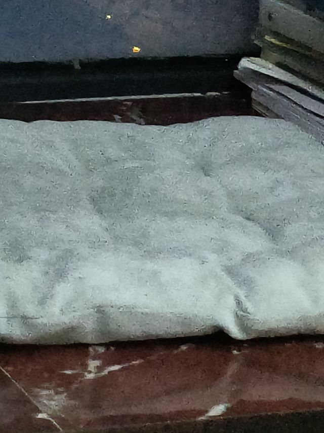 想买坐垫的姐妹进来看看啦
