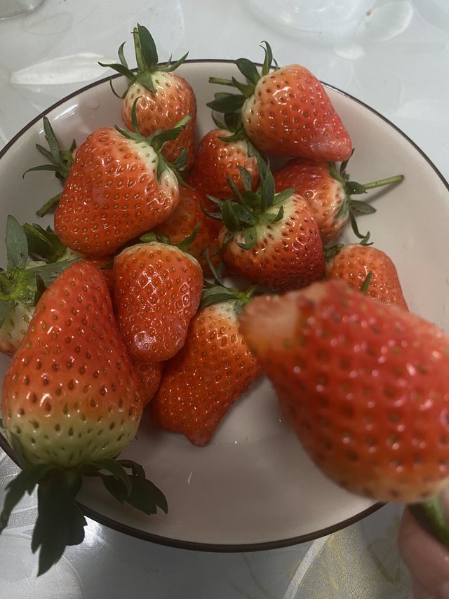 新鲜的大草莓推荐哦