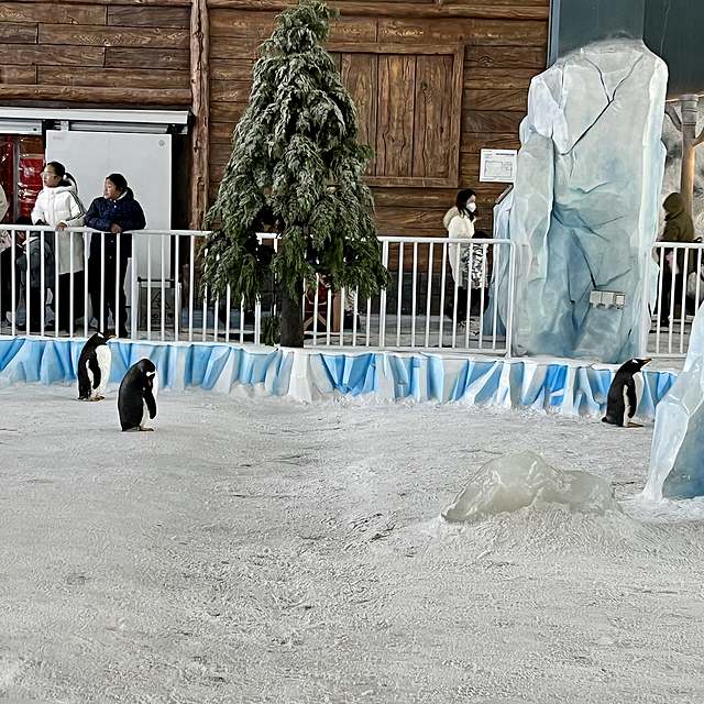 拿出家里的滑雪装备去滑雪吧