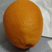 现摘新鲜的甜橙