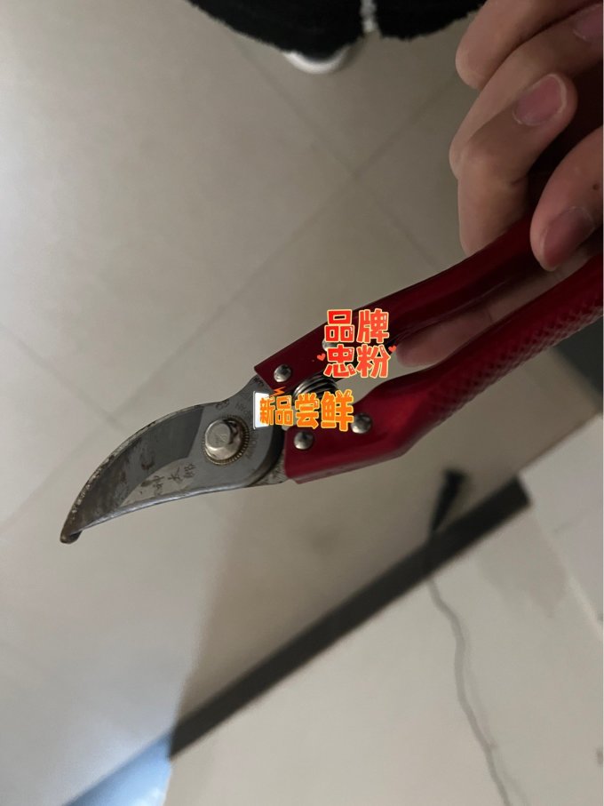 钳子