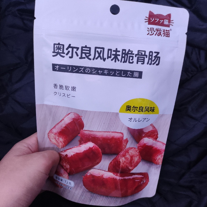 沙发猫休闲零食是日本图片