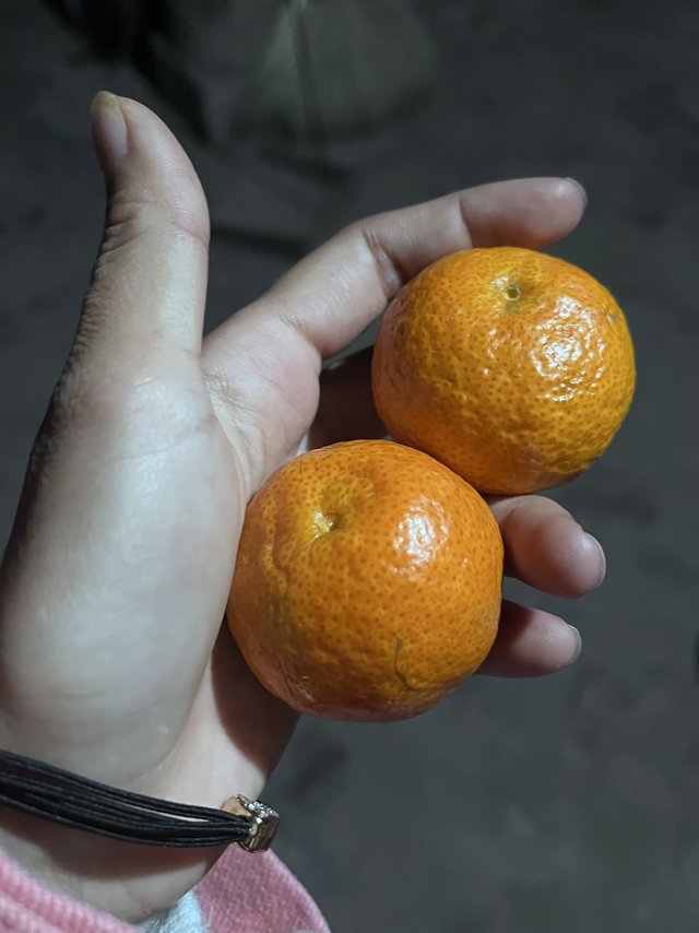非常甜的当地特产沙糖桔