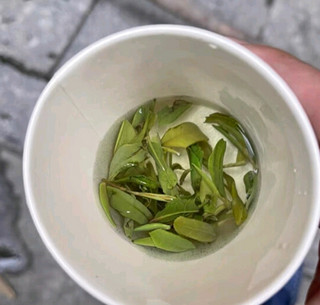 年后七杯茶