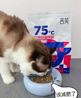 吉芙。75℃烘培猫粮