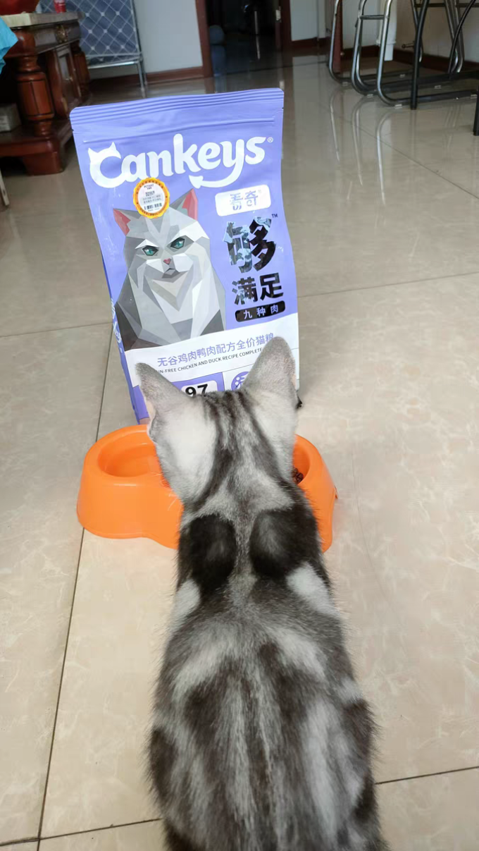 看奇猫粮
