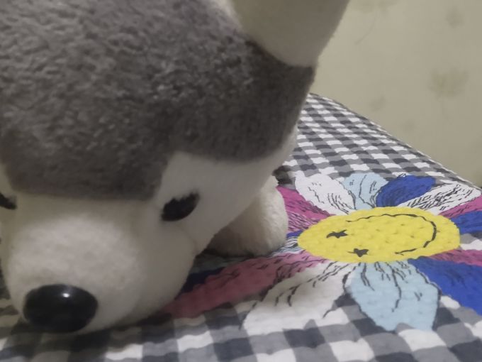毛绒布艺