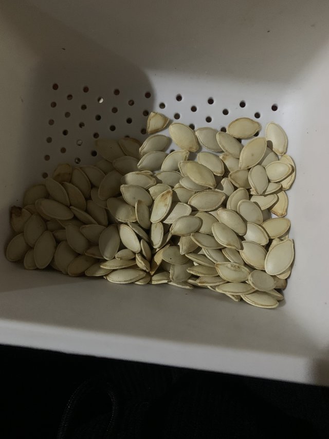 南瓜子也很好吃哦