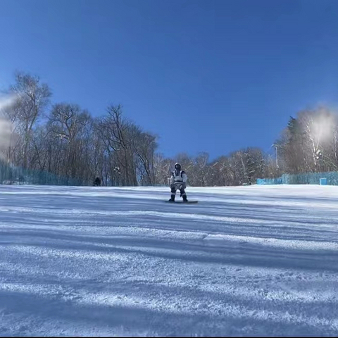 今年懒了，就去滑了一次雪